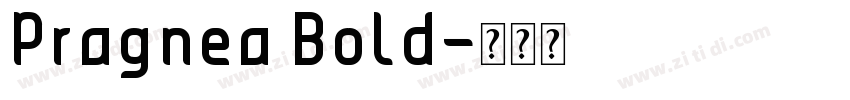 Pragnea Bold字体转换 Pragnea Bold字体转换